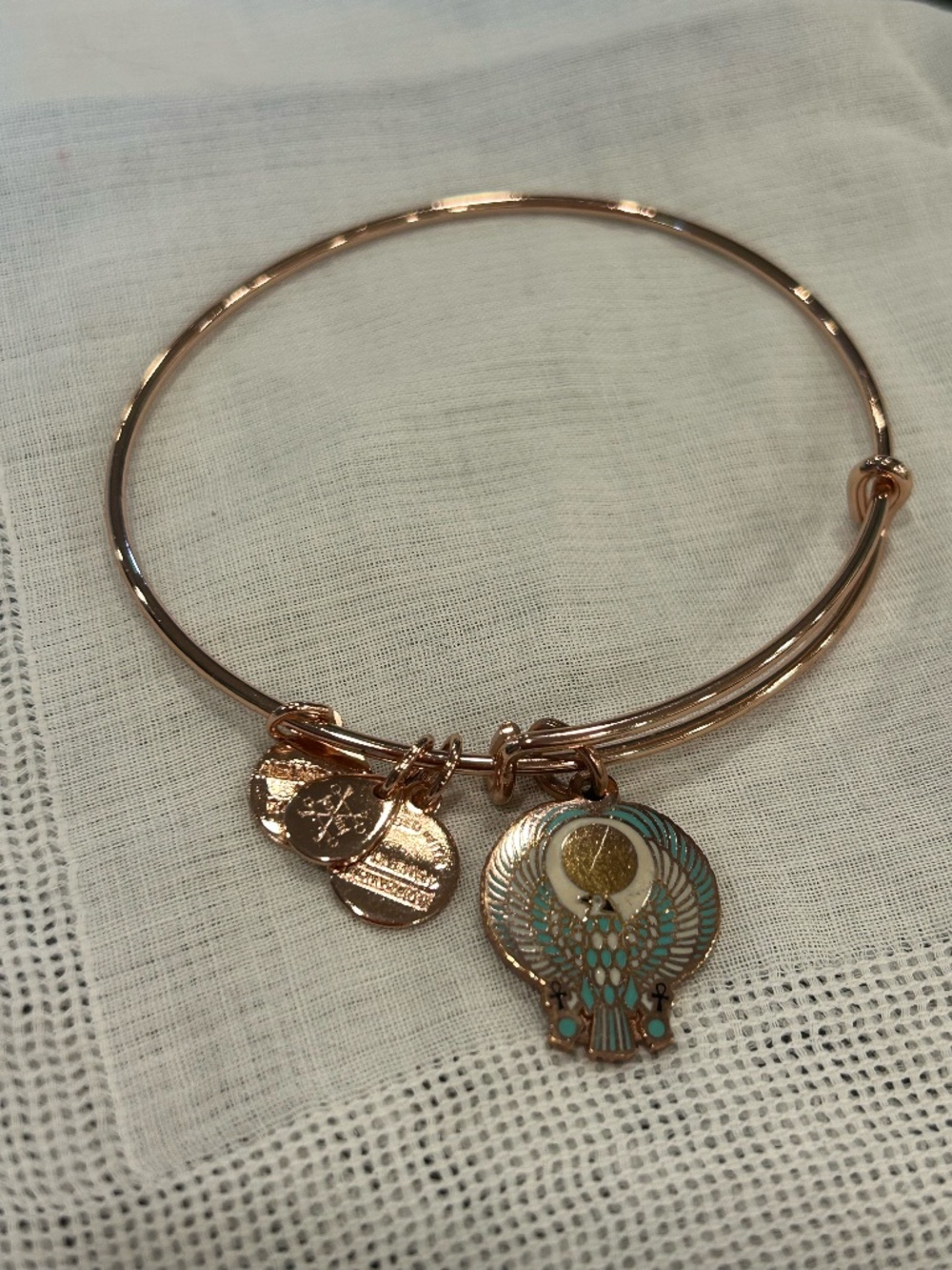 Alex and Ani Egyptian Collection βFalconβ Bangle Bracelet